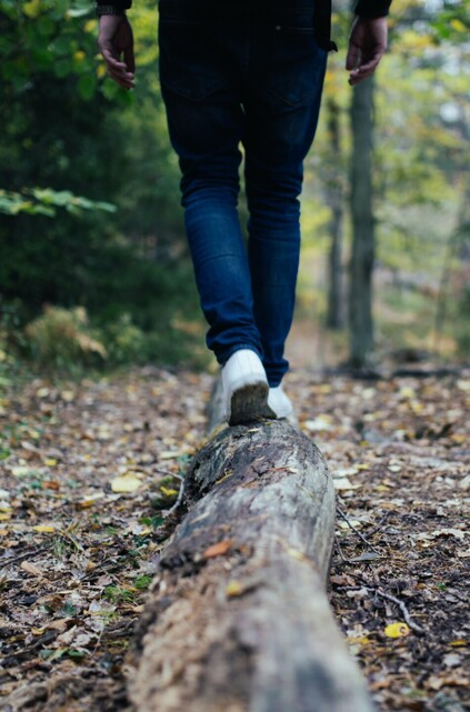 Walking a forest log path